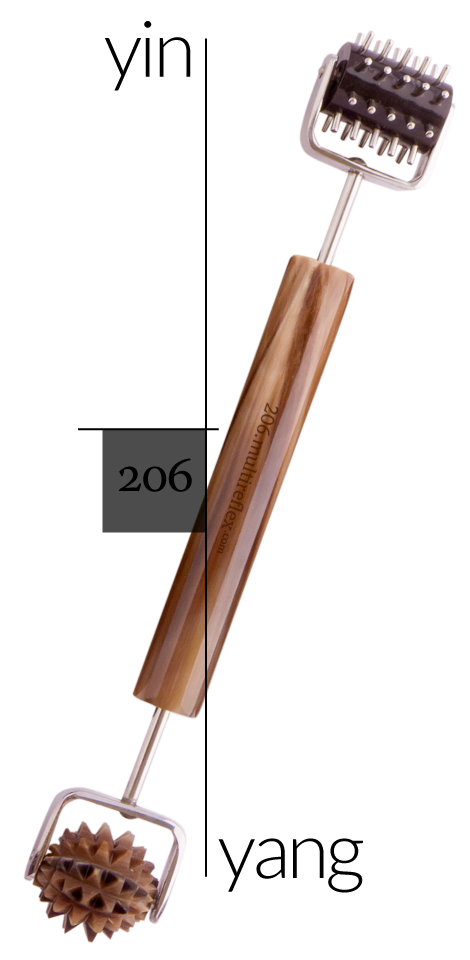 Dien Chan multireflex tools