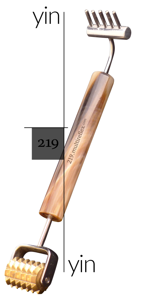 Dien Chan multireflex tools