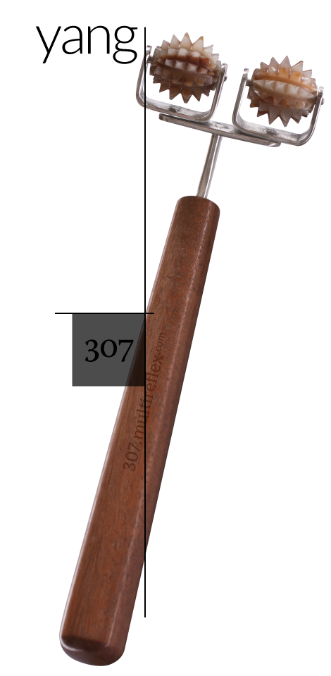 Dien Chan multireflex tools